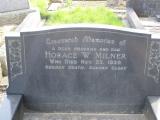 image of grave number 891819